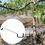 Leilinlife Fruit Branch Spreader 10PCS Trees Limb 14 Inches. Fixed Price $36.17.
