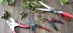 4 Corona Garden Tools Pruning Shears Pruner Hedge Clipper Reconditioned. Fixed Price $59.99.