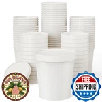 Jolly Party 50PACK 16OZ Paper Soup Containers With Lids, Disposable Food. Fixed Price $64.52.