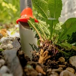 Radius Garden Root Slayer Soil Knife/trowel. Fixed Price $32.90.