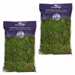 Supermoss Forest Preserved Fresh Green, 8OZ Bags 2-PACK, 16OZ Total. Fixed Price $20.99.