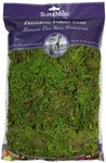 Supermoss (25322) Forest Preserved, 200 IN3 Bag (appx. 8OZ), Fresh Green. Fixed Price $24.09.
