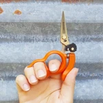 Saboten Stainless Steel Harvesting Hands Free Scissor Japan Shipped From The Usa. Fixed Price $21.50.