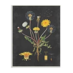 Stupell Industries Botanical Drawing Dandelion Black Design Wall Plaque Art. Fixed Price $63.83.