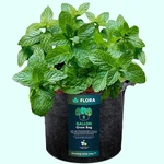 5-GALLON Thickened 300G Nonwoven Fabric Grow Bags For Plants, Heavy-duty Pots Wi. Fixed Price $9.75.