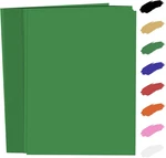 100 Sheets Green 8.5 X 11IN,250GSM 92LB Co. Fixed Price $29.08.