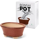 Leaves And Soul Bonsai Pot - Red New Box / Free Same Day Shipping. Fixed Price $17.99.