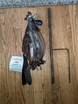 Zaer Ltd International Bird Garden Stake, Read Description. Fixed Price $35.00.