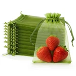Protection Bags 100 Pcs 4 X 6 Inch Netting For Fruits Tree ... Fixed Price $13.83.