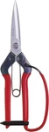 Chikamasa Professional Horticultural Pine Needles Scissors T-710GDX From Japan. Fixed Price $49.59.