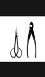 Wazakura Japanese Bonsai Tool Kit Made In - Hanafubuki Satsuki Scissors.... Fixed Price $99.99.