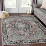 Gaomon 8X10 Area Rug Vintage Distressed Machine Washable For Living .... Fixed Price $225.09.