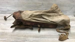 Vintage "the Cyclone" Hand Crank Seeder Sower Red Wood W/cloth Bag. Fixed Price $40.00.