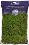 Supermoss (25322) Forest Preserved, Fresh Green, 8OZ. Fixed Price $27.22.