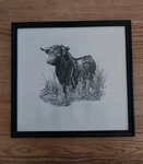 Vtg 1980 Signed / Inscribed John Fulton "toro De La Marisma" Lithograph & Frame. Fixed Price $143.96.