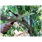 Corona Rs 7245 Folding Saw, 7-INCH Curved Blade. Fixed Price $63.19.