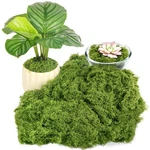 Draupnir Fake Green Moss For Plants 9.06 X 11.42 0.87 Inches, Dark. Fixed Price $13.05.