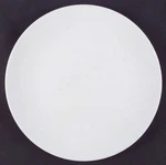 Royal Worcester Snow Dinner Plate 640054. Fixed Price $59.99.