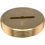 3 Inch Slotted Brass Cleanout Plug 42002. Fixed Price $15.00.