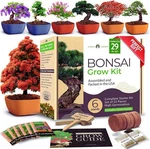 "home Grown Bonsai Tree Kit 6 Heirloom Varieties Master. Fixed Price $47.99.
