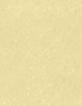 Luxpaper 8.5X11 Gold Parchment Cardstock 65LB Cover 250 Sheets For Printer. Fixed Price $79.43.