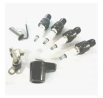 Sparex, S.66450 Tuneup Kit For Various Makes. Fixed Price $31.99.