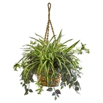 Nearly Natural 30-IN Wandering Jew & Spider Artificial Plant Hanging Basket. Fixed Price $99.99.
