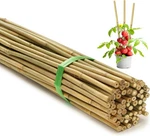 Swangsa 75 Pack 4FT Garden Bamboo Stakes For Plant Support, Feet. Fixed Price $51.62.