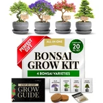 Bonsai Tree Kit Grow 4 Types Indoors With Complete Starter Inclu.... Fixed Price $71.10.