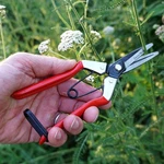 8" Long-nose Fruit Scissors Lightweight Garden Pruning & Harvesting Tool. Fixed Price $19.99.