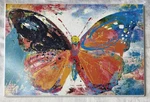 The Butterfly By Porter Hastings Wall Art Stupell Home Decor 16 X 11. Fixed Price $40.00.