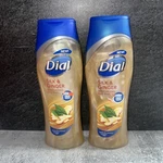 2 Lot Dial New Moisterizing Body Wash, Silk & Ginger Infused 16,OZ. Fixed Price $44.99.