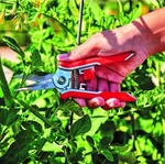 Corona Stainless Steel Mini Red Floral Snips. Fixed Price $11.64.