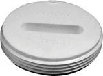 Canplas 193063 Flush Cleanout Plug, 3-INCH. Fixed Price $12.60.