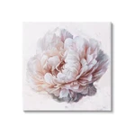 Stupell Industries Detailed Peony Petals Canvas Wall Art, Design By Ziwei. Fixed Price $169.29.