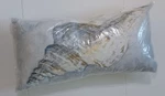 Pottery Barn Pacific Shell Print Indoor Outdoor Lumbar Pillow 16X30 Nwt. Fixed Price $79.99.