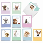 The Best Company - 10 Boxed Thank You Cards W/envelopes, Animal Apprecia.... Fixed Price $21.49.