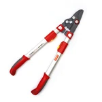 Wolf-garten Power Cut Telescoping Bypass Lopper RR900T. Fixed Price $206.01.