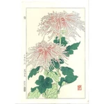 Yuichi Osuga F180 Chrysanthemum Woodcut Print Hanga Kyoto Japan Unsodo Brand. Fixed Price $161.95.