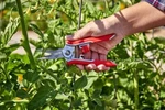 Corona Stainless Steel Mini Floral Snips Model Number FS43624 New. Fixed Price $11.97.