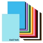 11X17 A3 Colored Card Stock Paper 60 Sheets Multi-color Scrapbook Crafts. Fixed Price $54.01.
