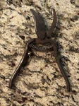 (s) Vintage Craftsman 86457 Hand Pruning Garden Shears Pruners - Vgc Usa. Fixed Price $29.98.