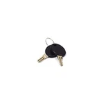 Briggs & Stratton 207652GS Key Set. Fixed Price $20.46.