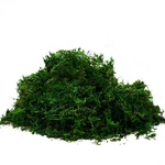 92926 Preserved Forest Moss, Fresh Green 2OZ. Fixed Price $17.62.