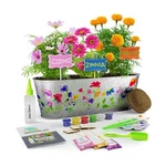 Paint & Plant Flower Growing Kit For Kids Easter Gift Ideas Age 5 6 7 8-12 .... Fixed Price $28.19.