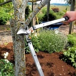 Barnel H26A 26-INCH Double-bumper Bypass Horticultural Lopper. Fixed Price $63.19.