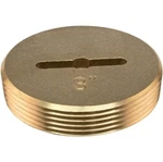 3 Inch Slotted Brass Cleanout Plug, Machine-threaded With 1/4 Screw-on Tap,. Fixed Price $23.53.