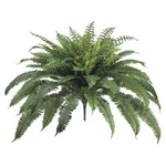 Large Boston Fern Silk Leaf Bush Artificial Plant Decor With No Pot 48" Spread. Fixed Price $69.99.