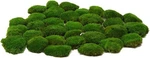 Real Natural Preserved Pole Moss Pillow Bun Cushion Green Decorative 1.5 Sq Ft. Fixed Price $39.55.