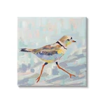 Stupell Industries Coastal Plover Abstract Bird Canvas Wall Art, Design By Je.... Fixed Price $109.68.
